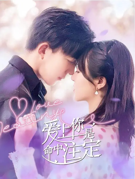 《爱上你是命中注定》：笑泪齐飞的爱情喜剧，命中注定的缘分究竟是什么？