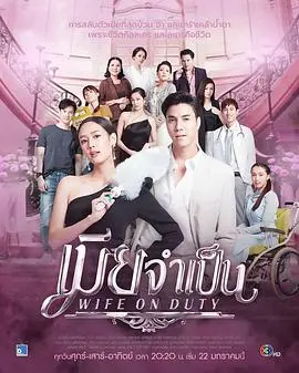 《非婚不可》普通话版：都市男女情感迷局，恐婚族的爱情困境与选择！