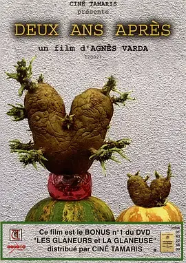 《艾格妮捡风景：两年后》影评：一次关于生命、记忆与电影的温柔回溯