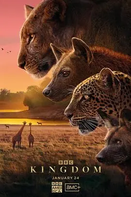 末日动物也疯狂？《动物王国2025》：生存还是毁灭，这是个问题！