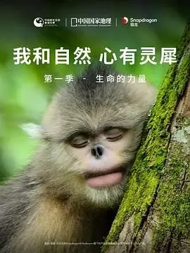 《我和自然 心有灵犀》第一季 - 生命的力量：热血少年逆袭记，见证大自然的奇迹！