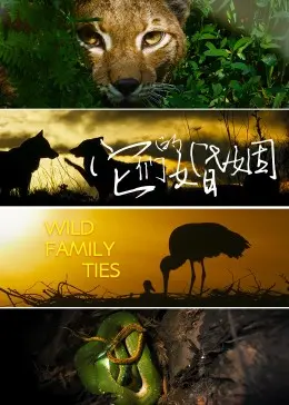 《它们的婚姻》：国家孩子的爱恨纠葛，国产婚姻剧里的清流还是泥石流？